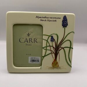 CARR 3.5”x5” Picture Frame Ceramic Botanical Garden Hyacinth Flower Bulb SPRING
